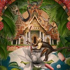 Exotic Mysteries